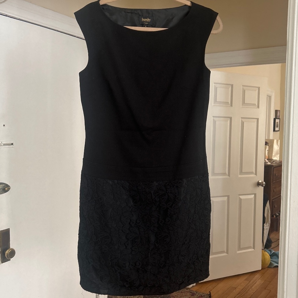 Great Sheath Laundry Dress